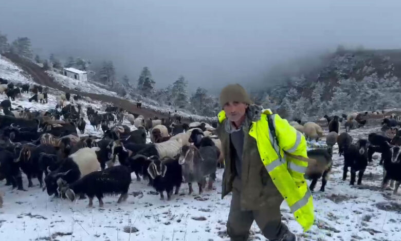 Giresun'un yaylalarına kar düştü, çobanların zorlu dönüş yolculuğu başladı