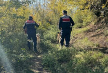 Karabük'te komşu ilçeye eşek satın almaya giden yaşlı adam kayboldu