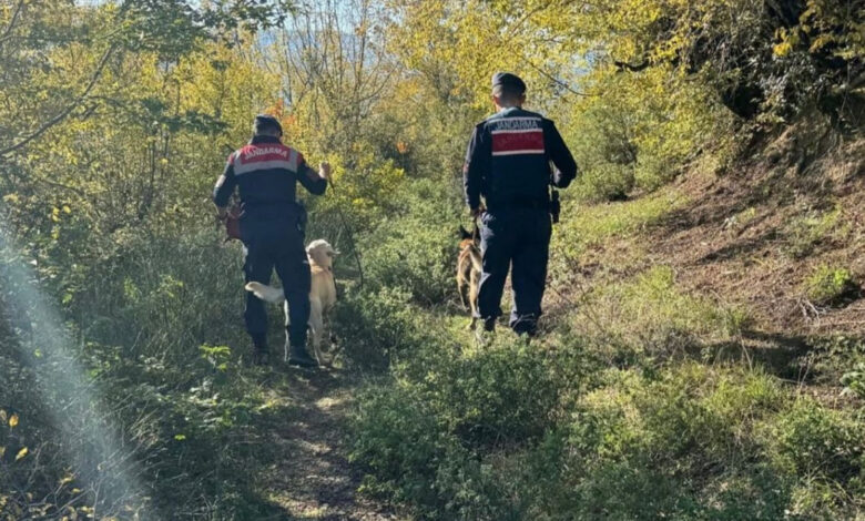 Karabük'te komşu ilçeye eşek satın almaya giden yaşlı adam kayboldu