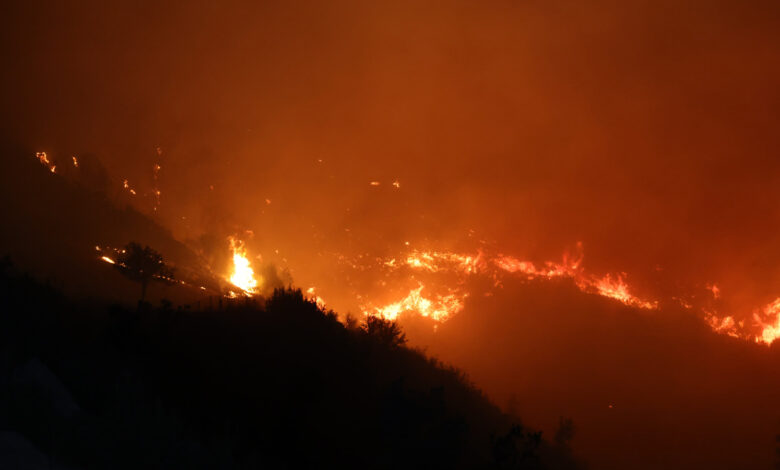 Muğla'nın Ortaca ve Dalaman ilçelerinde orman yangını